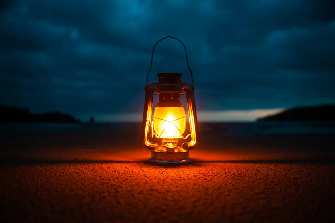  Vladimir Fedotov from Unsplash