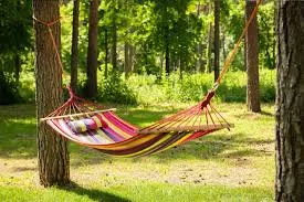 Image from Hammock Universe