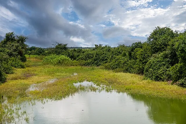 xiquinhosilva on Wikimedia Commons