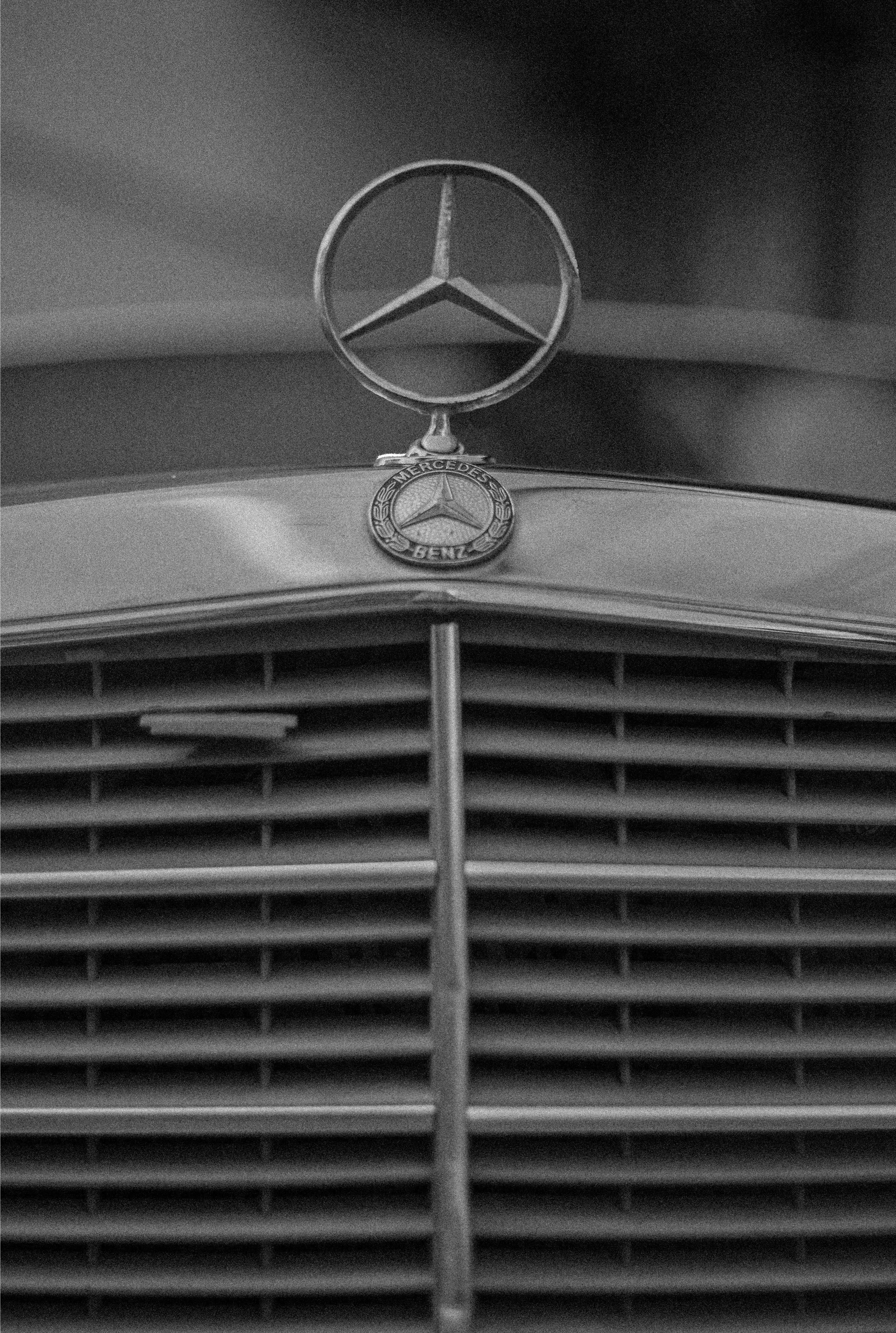 Alper Özer on Pexels 