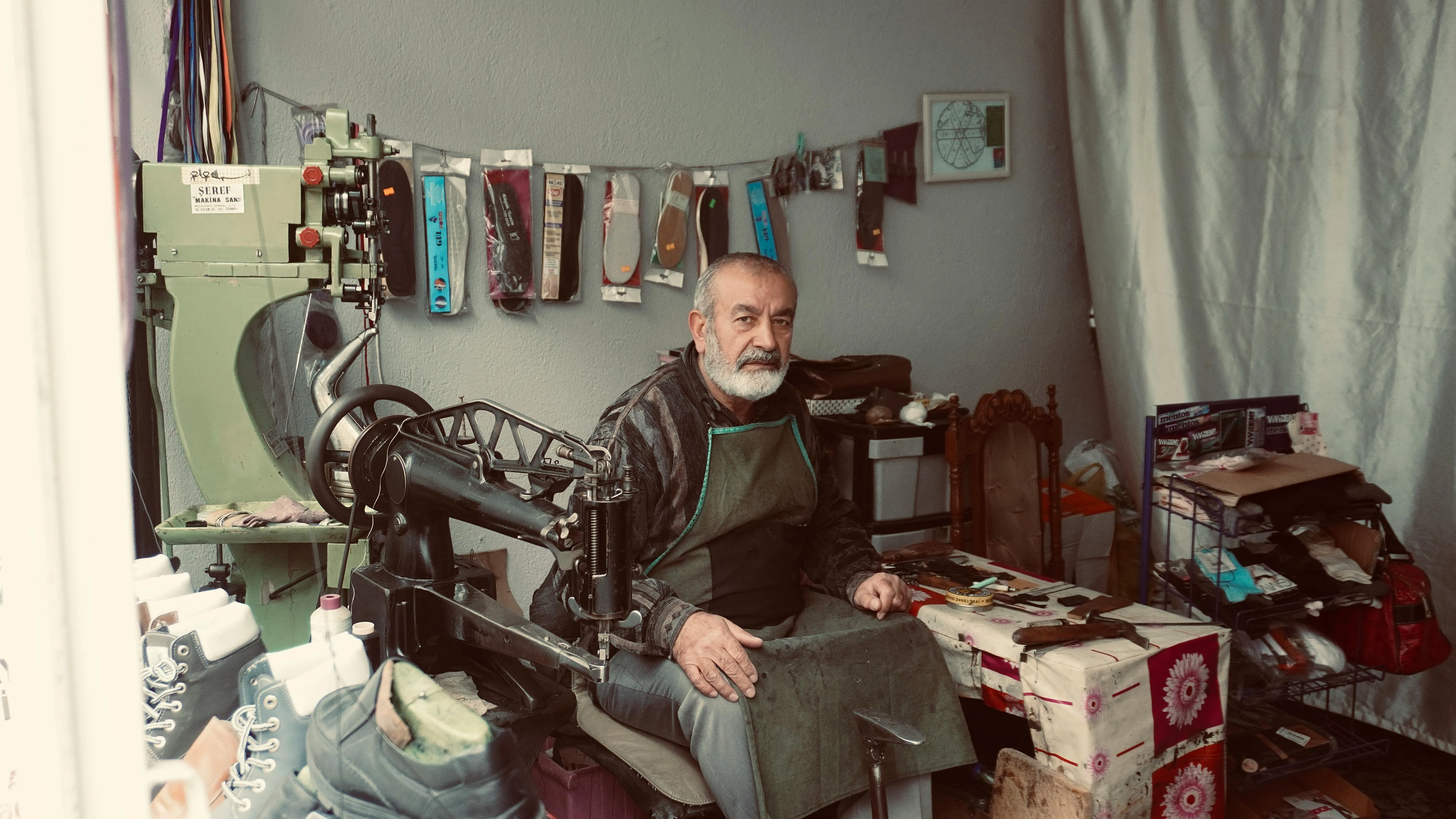 Efe Nazım Arslançelik on Pexels
