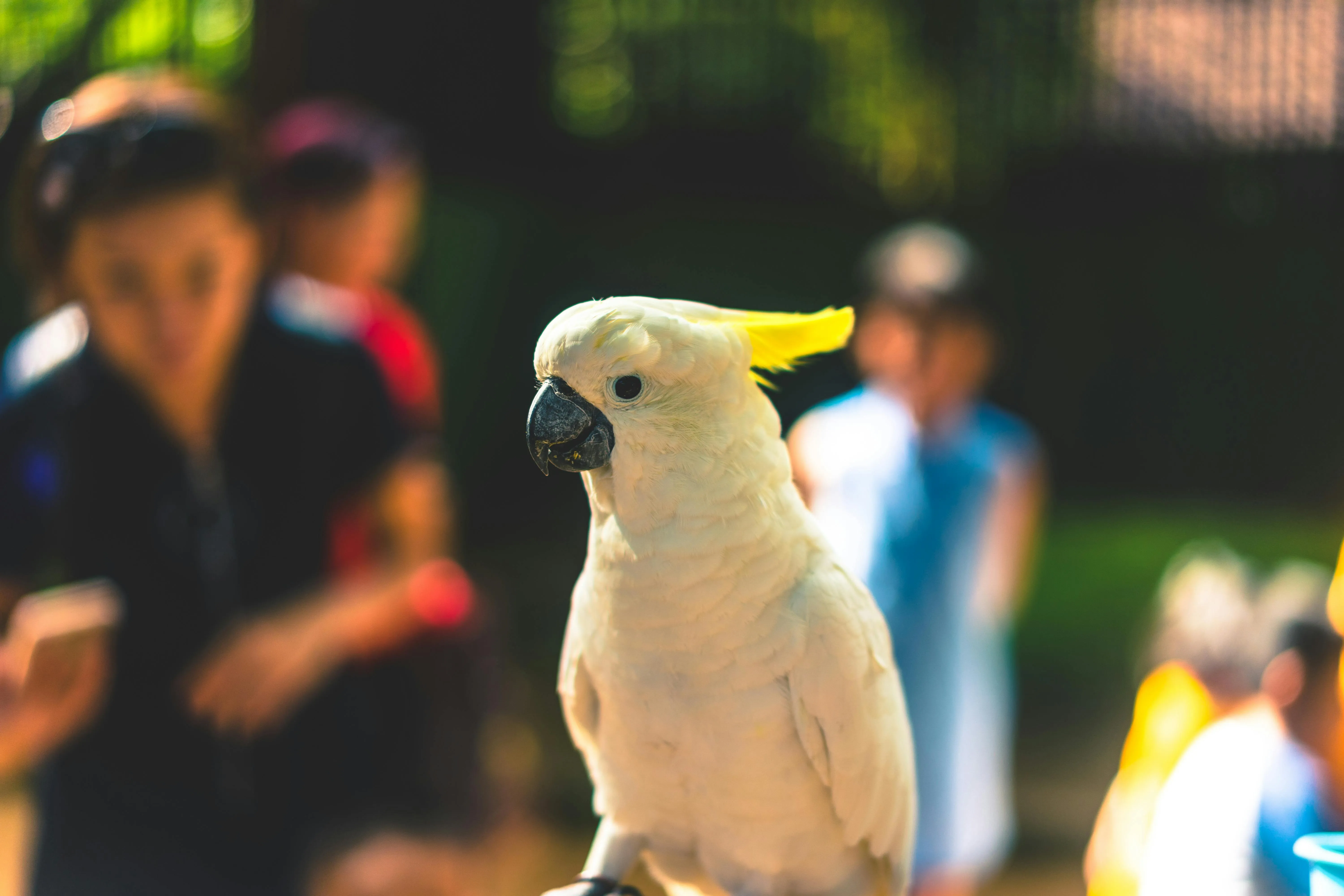  Darrel Und on Pexels