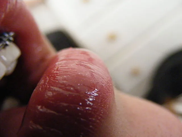 Haleyface on Wikimedia Commons