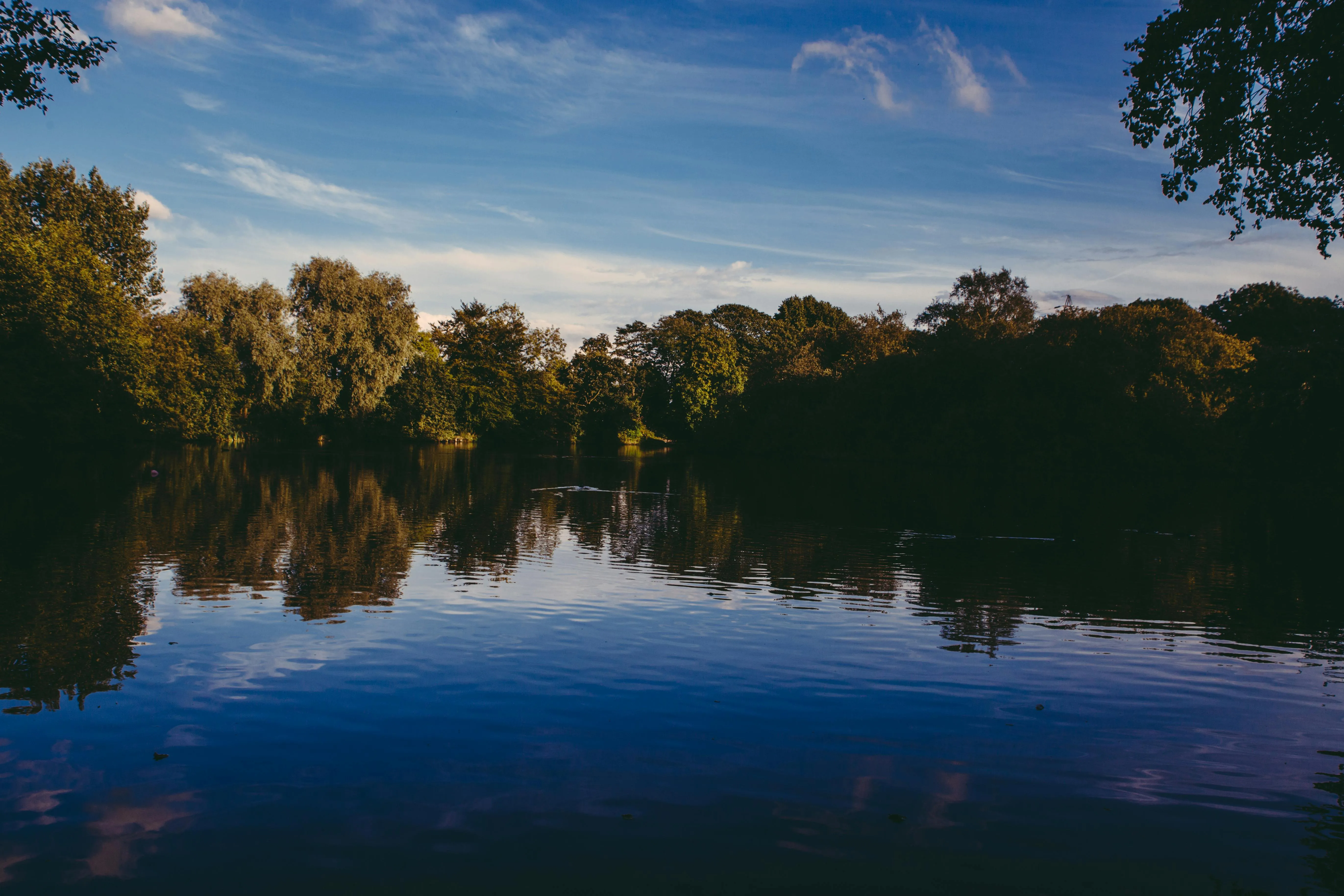 Little Visuals on Pexels
