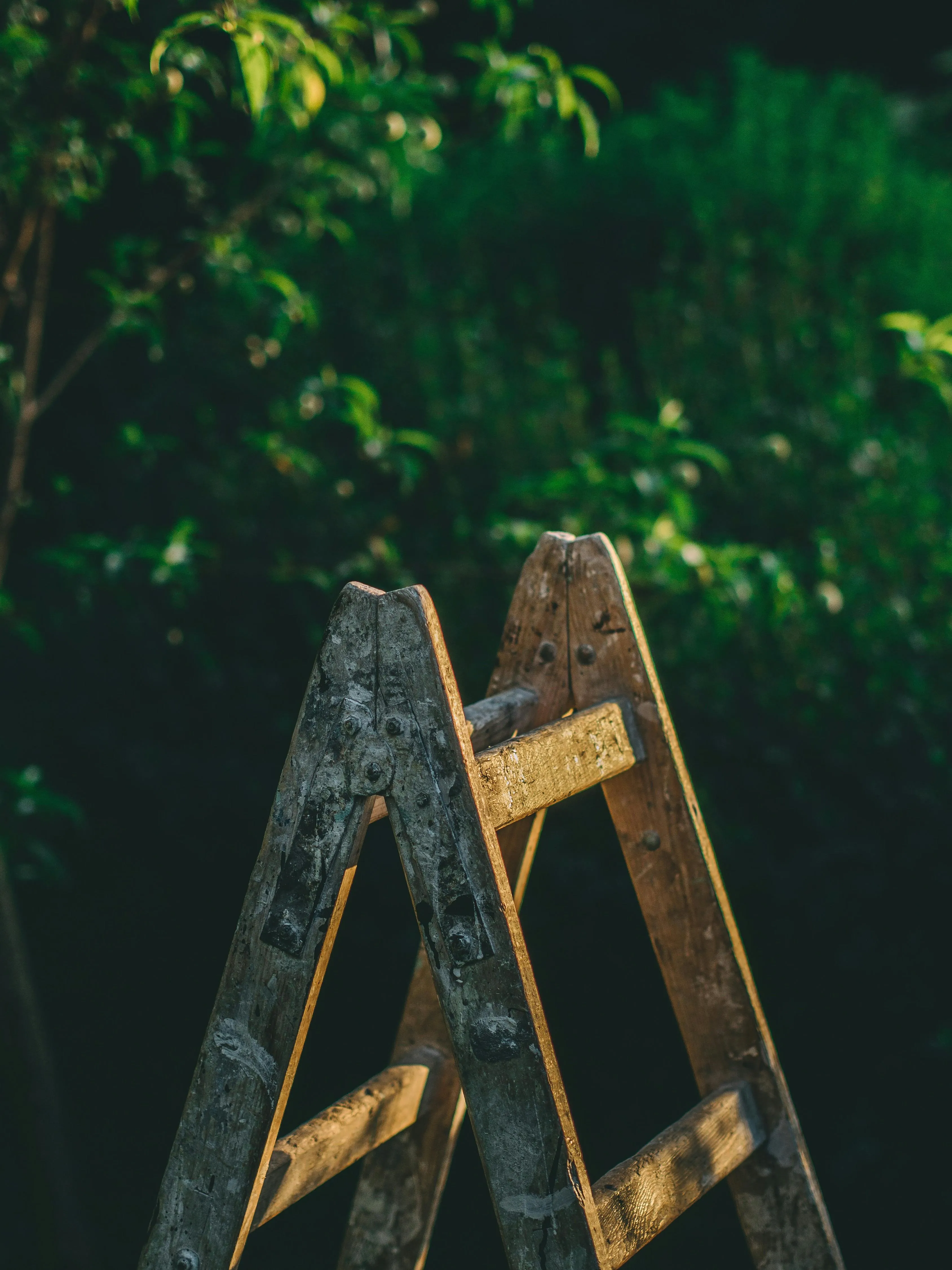 Pixabay on pexels