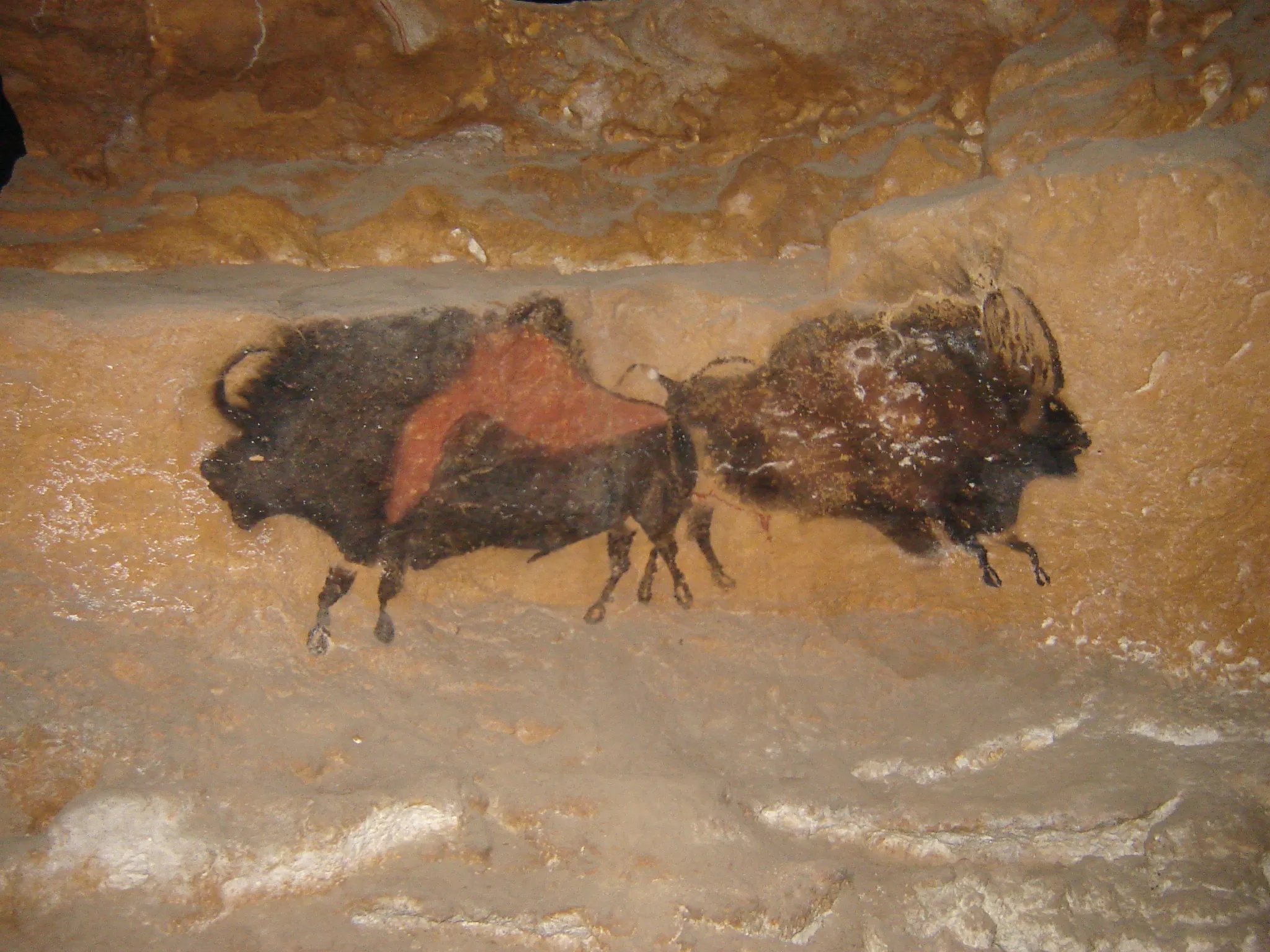 Jeff Walker on Flickr