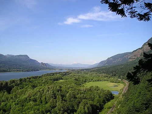 Image from Wikipedia
