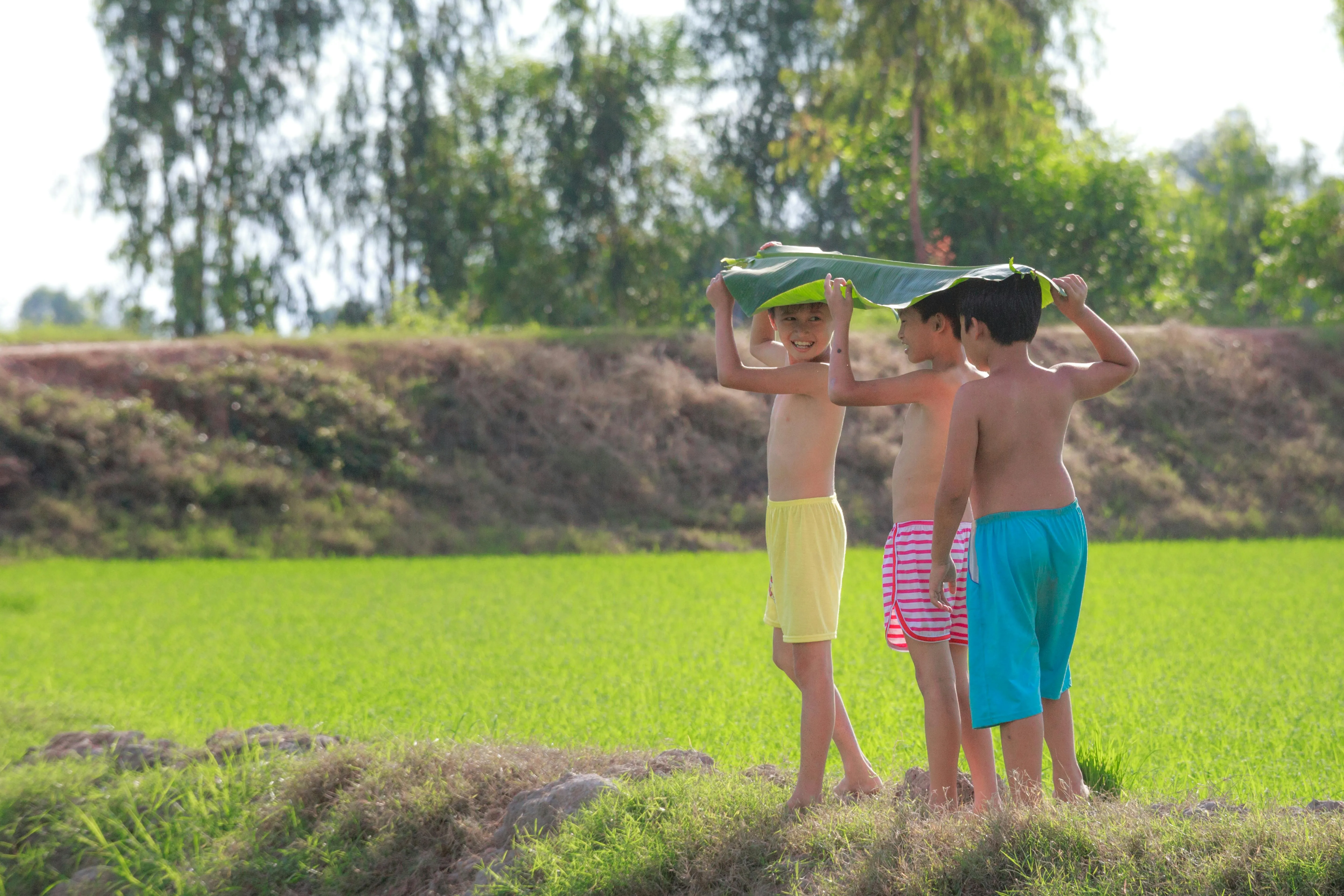 14 Things Kids Did During Summer in the 1970s That Disappeared
