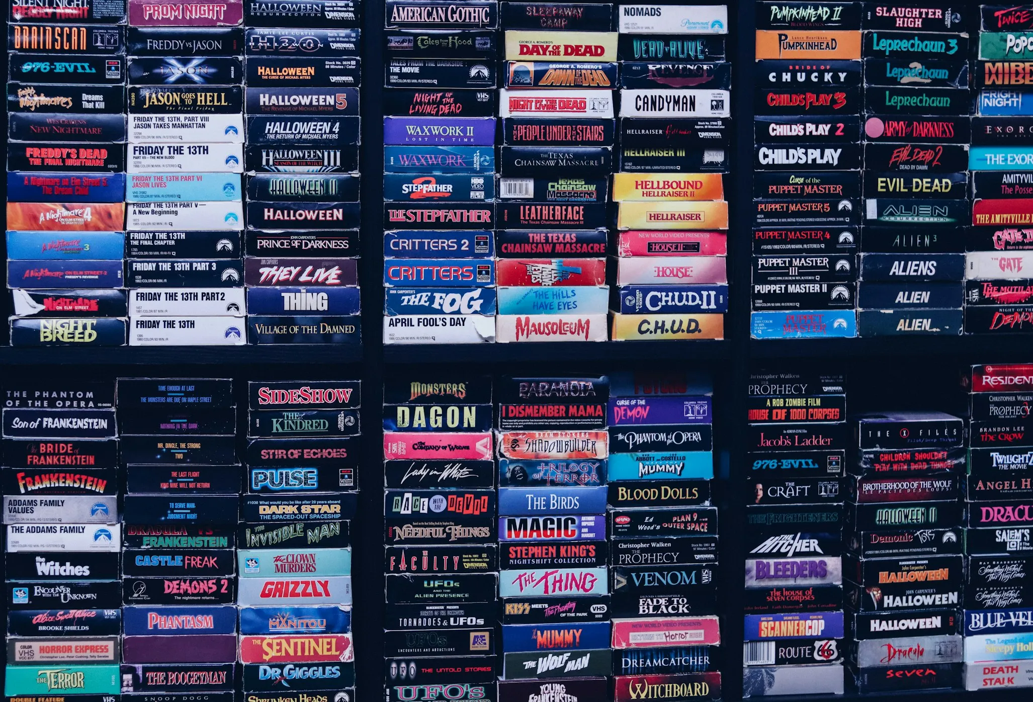 Bruno Guerrero on Unsplash