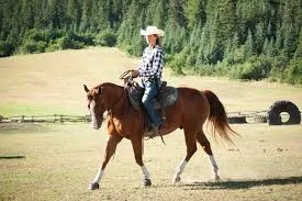 Image from Parelli Natural Horsemanship