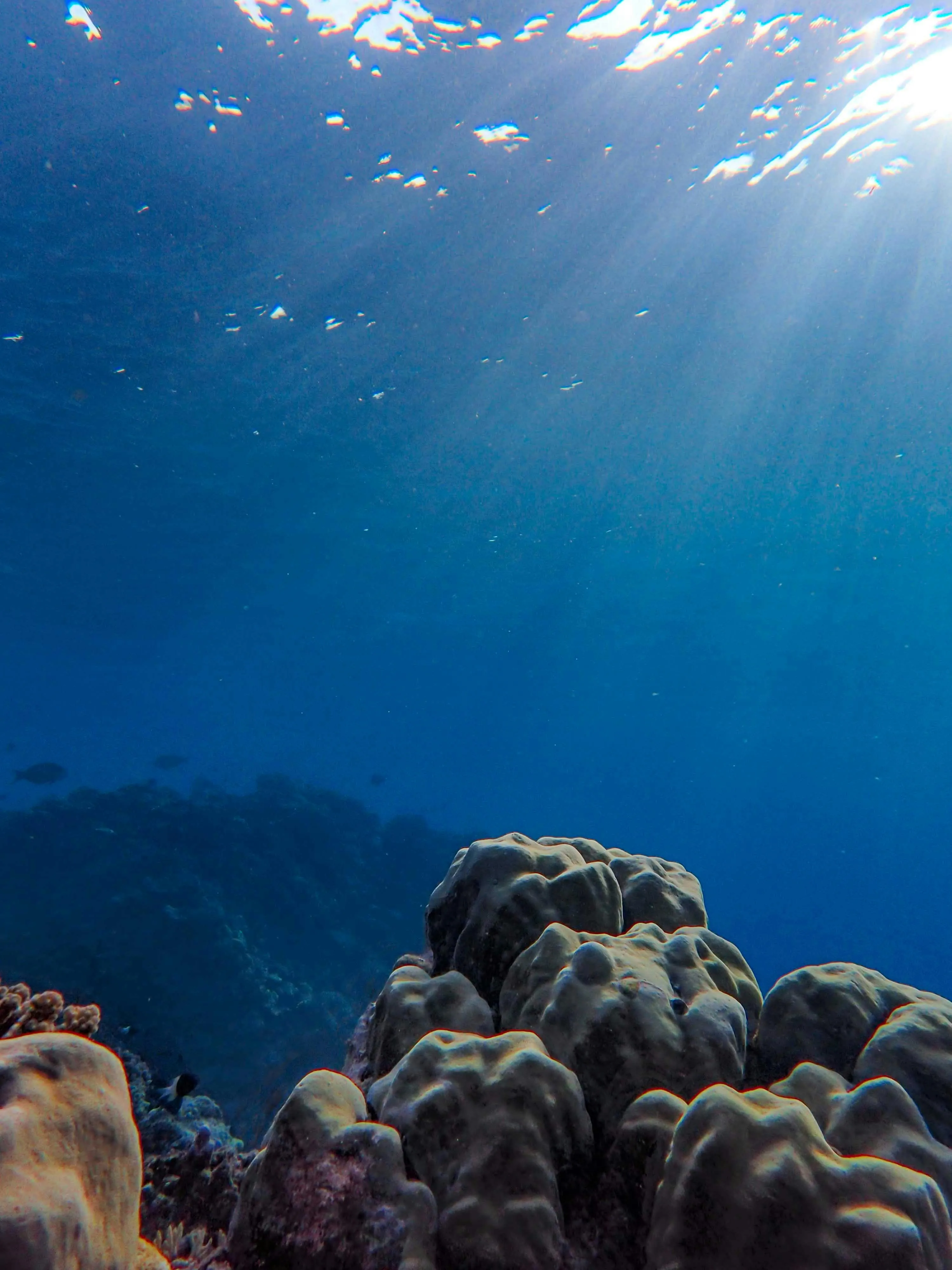 Francesco Ungaro on pexels