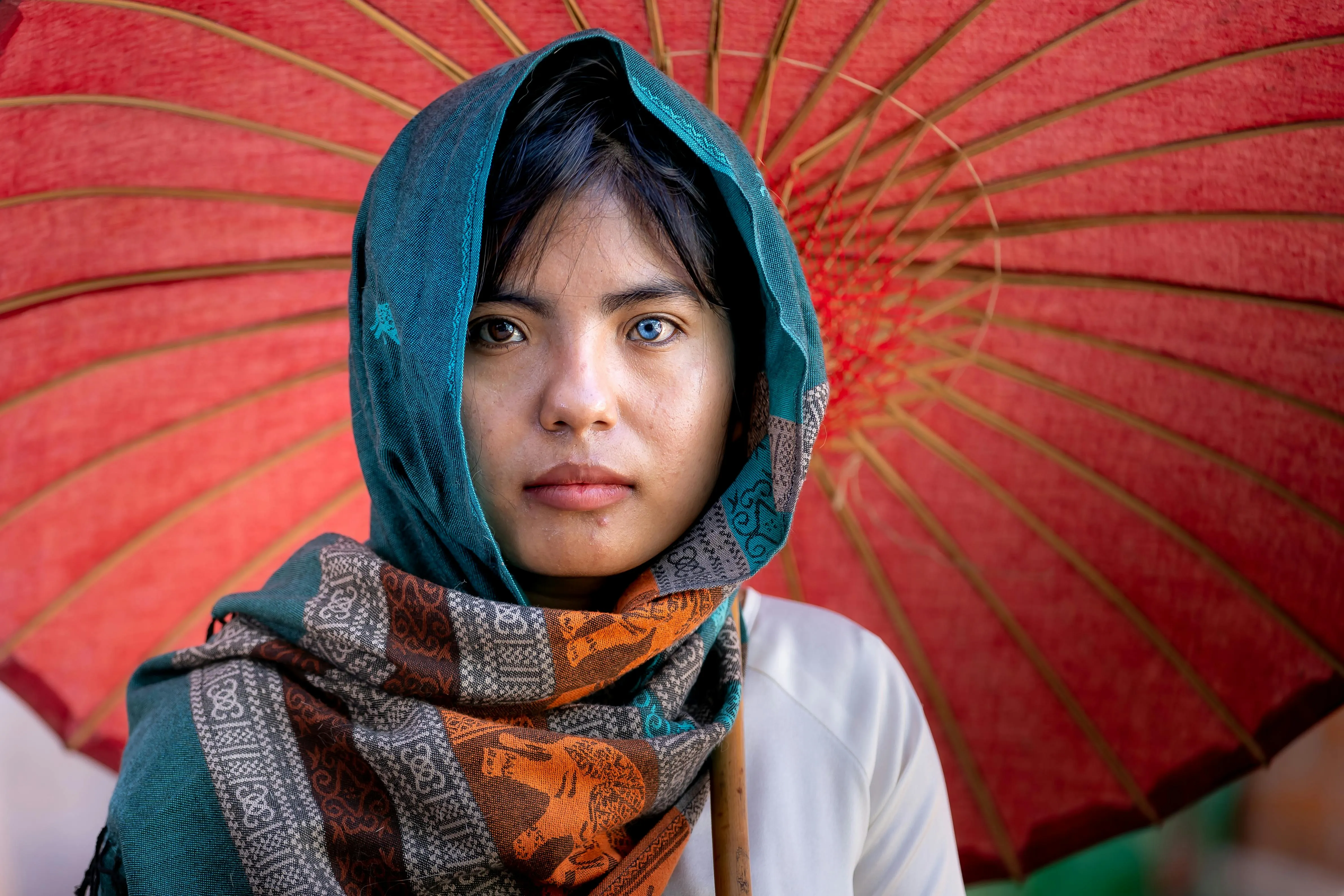  Quang Nguyen Vinh on pexels