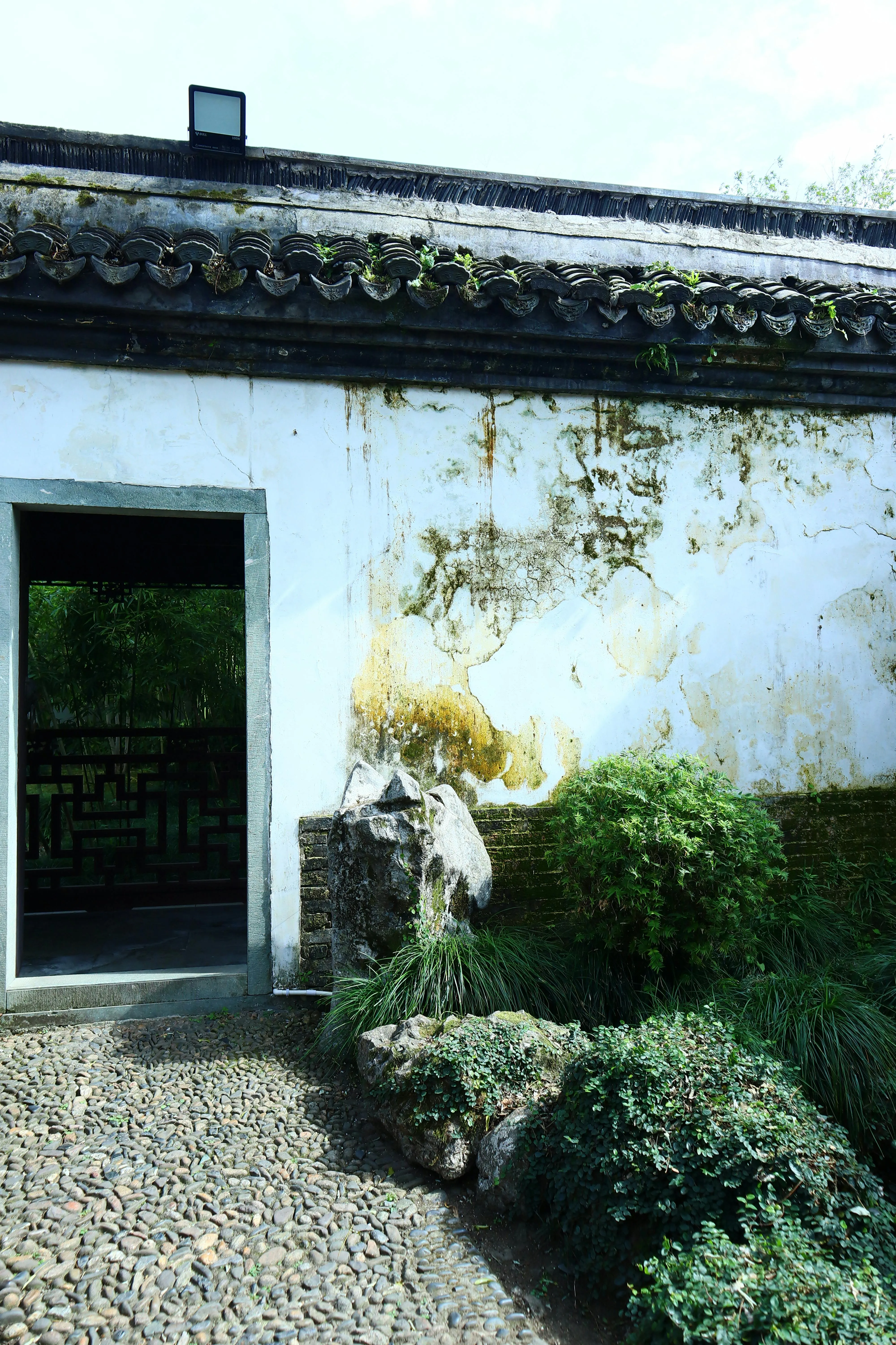 Madzery Ma on pexels