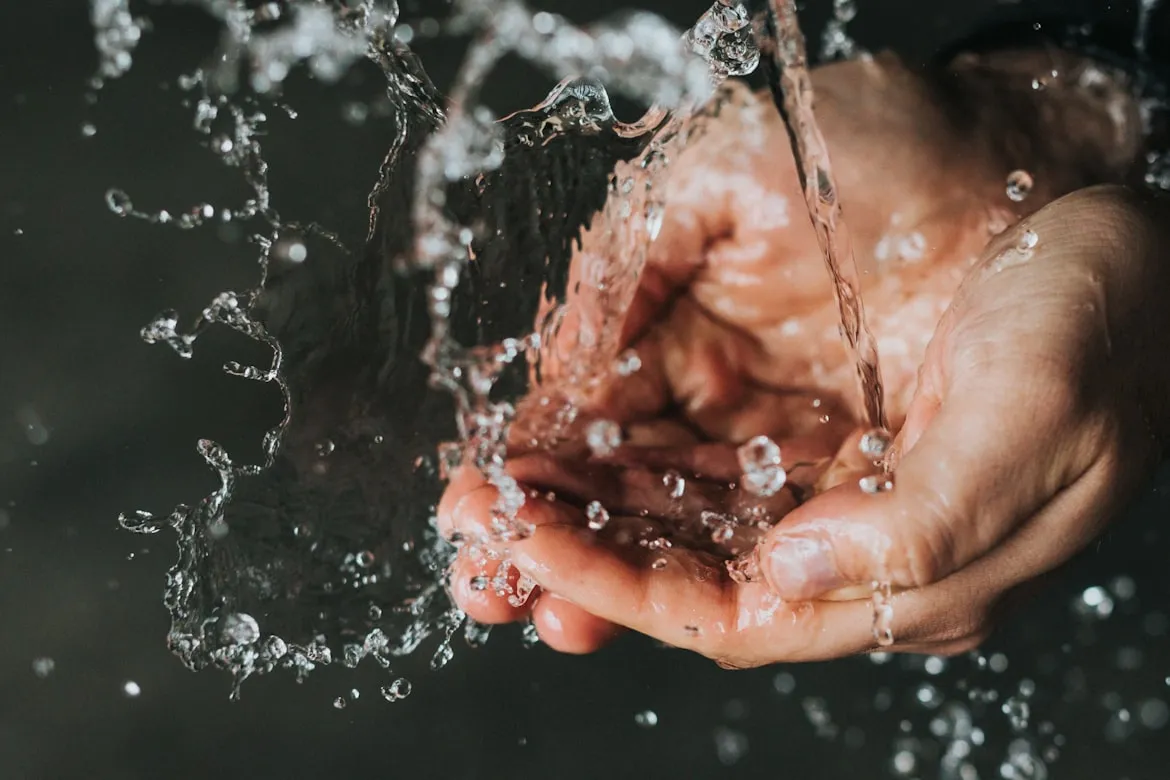 Nathan Dumlao from Unsplash