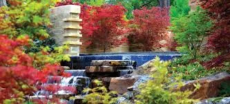 Image from Dallas Arboretum 