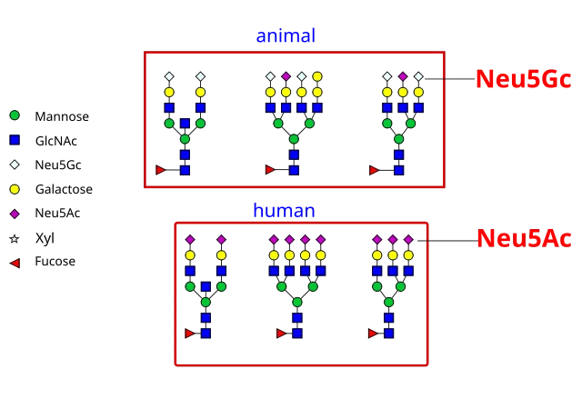 Dna 621 on Wikimedia Commons