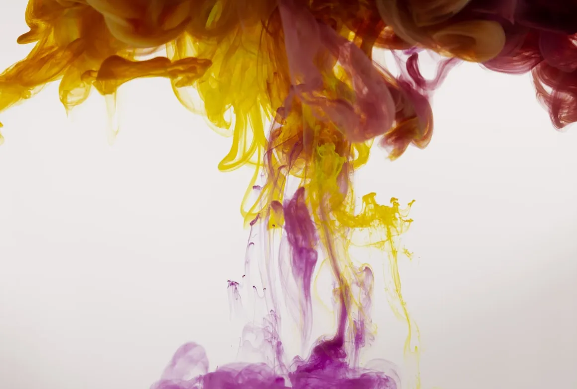  engin akyurt from Unsplash