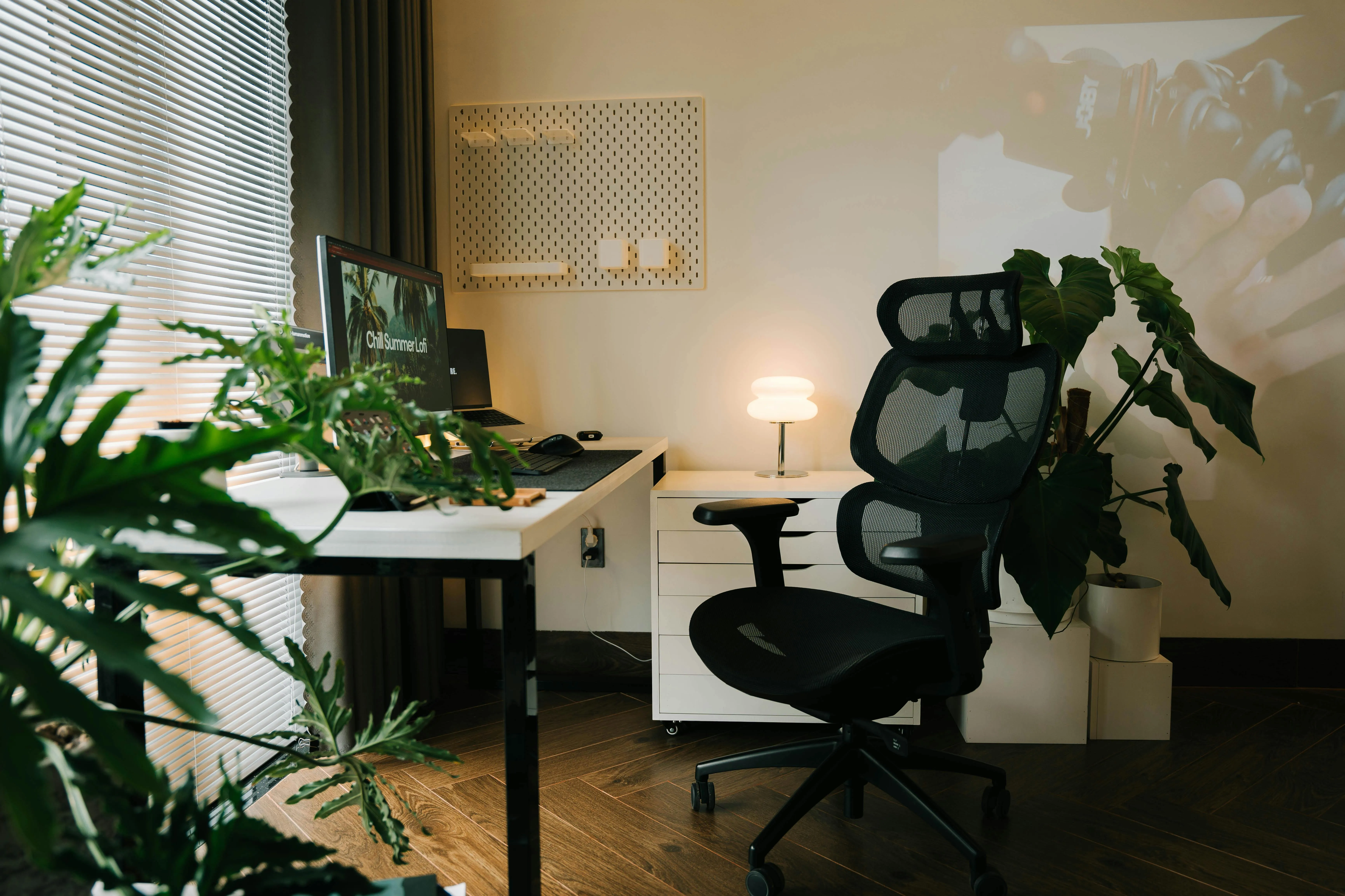 Alpha En on pexels