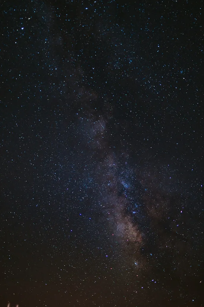 Ivana Cajina from Unsplash