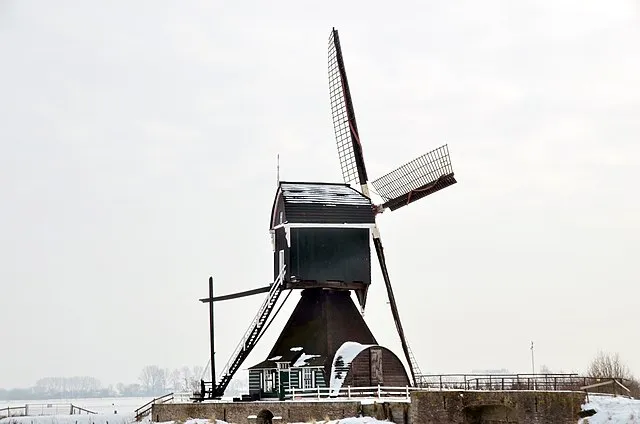 Henk Monster on Wikimedia Commons
