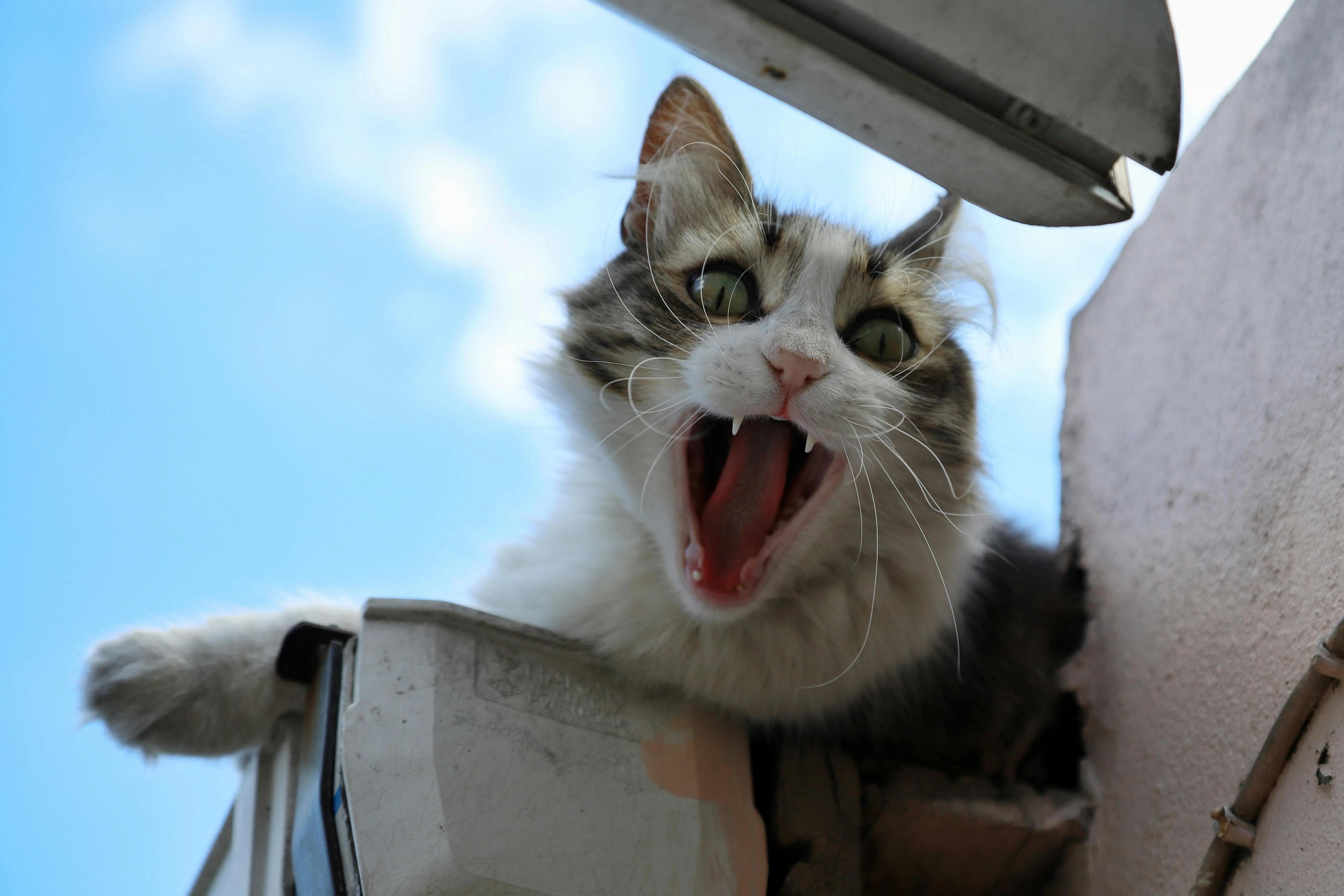 Nesrin Öztürk on pexels