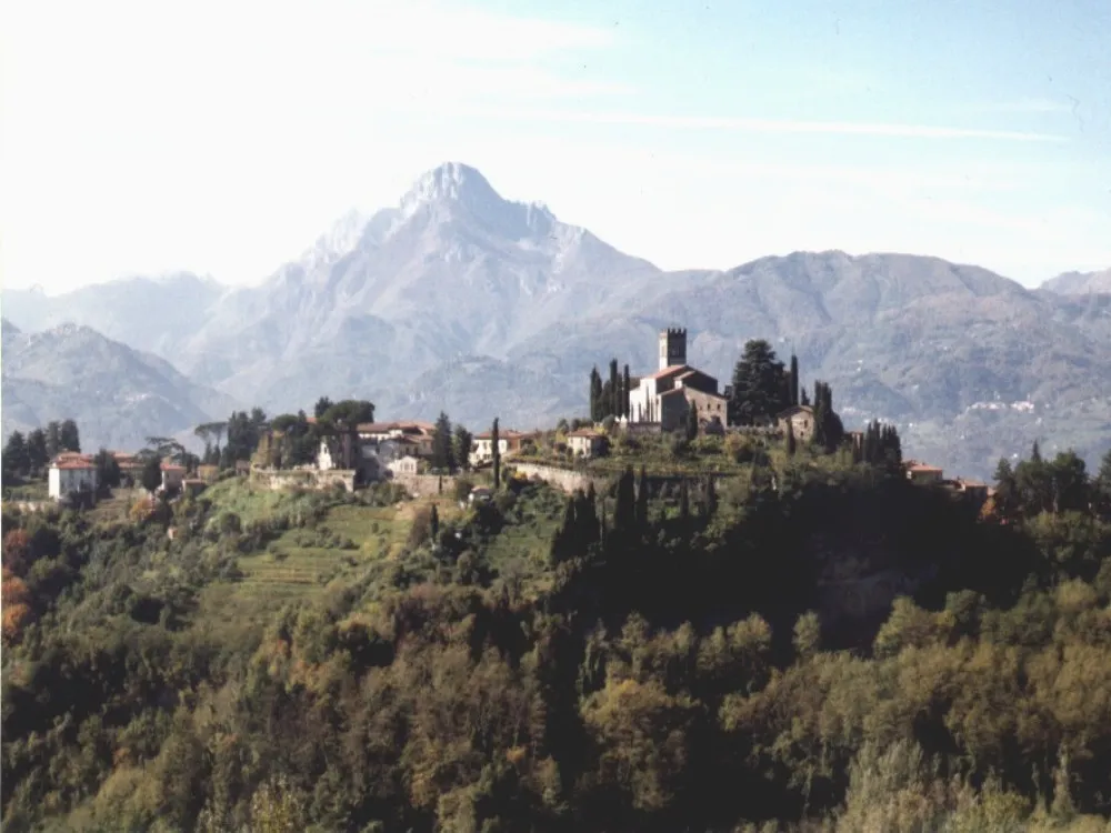 Image from Wikipedia