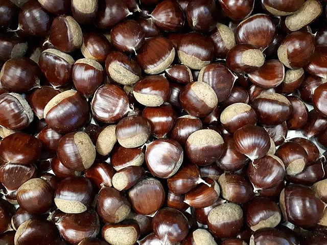 Fructibus on wikimedia