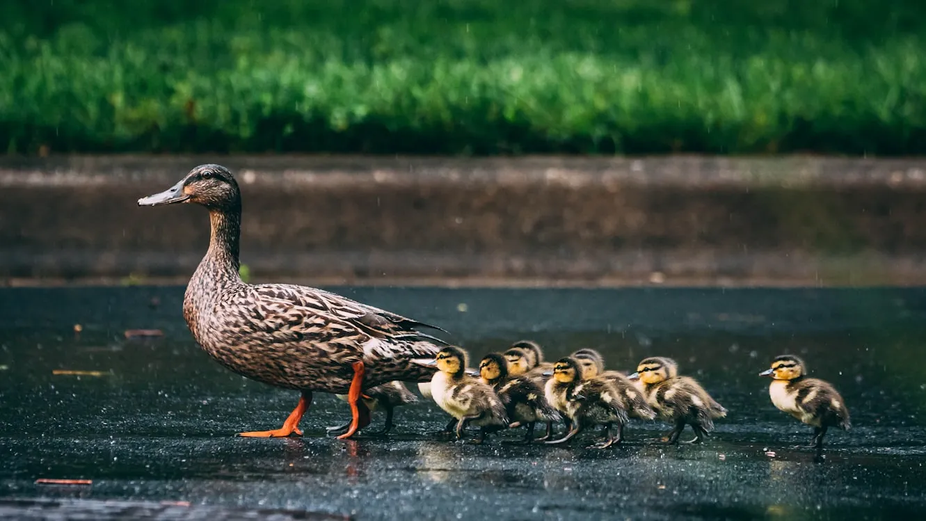 Vlad Tchompalov from Unsplash