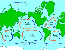 Image from Science Learning Hub