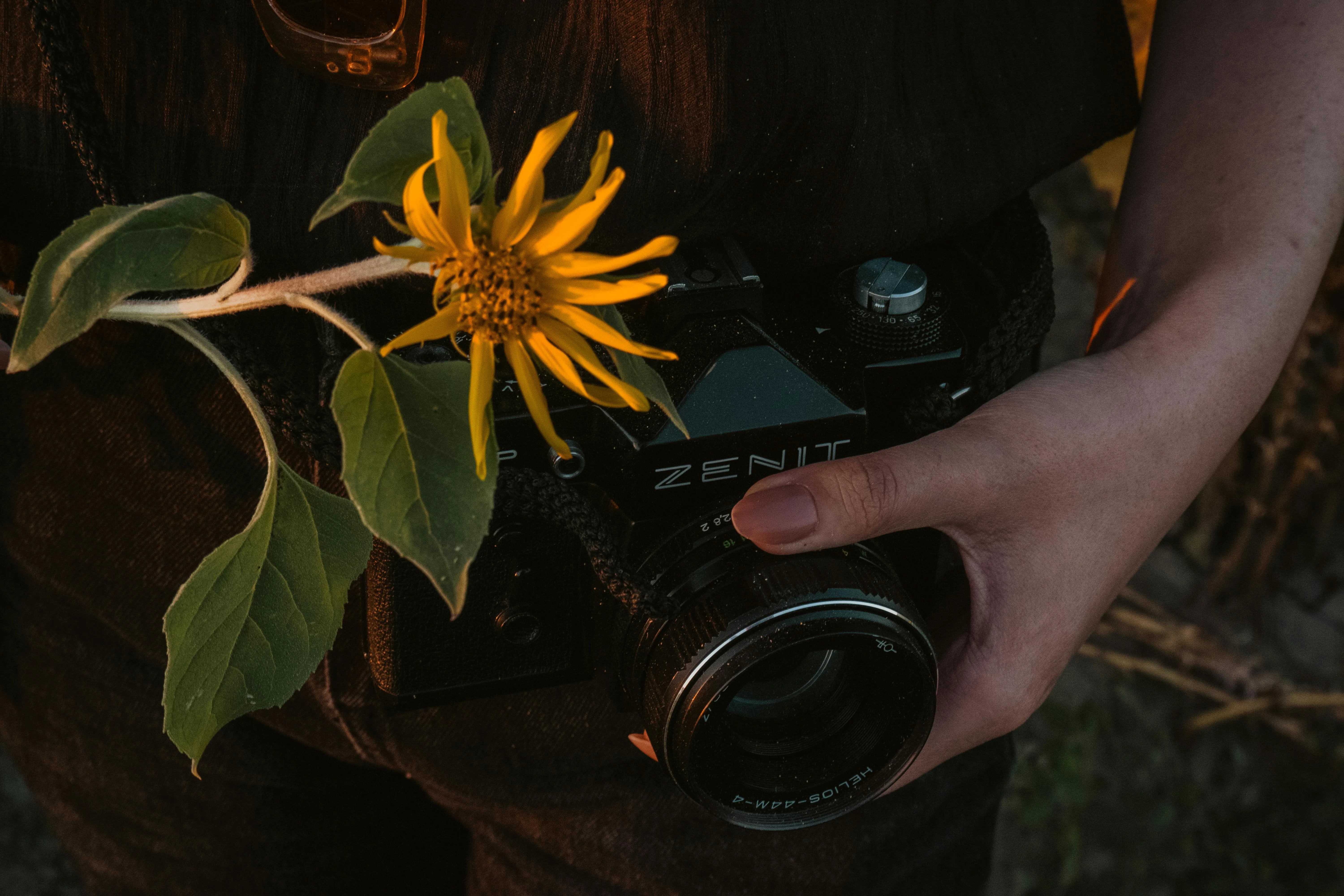 thecactusena on Pexels