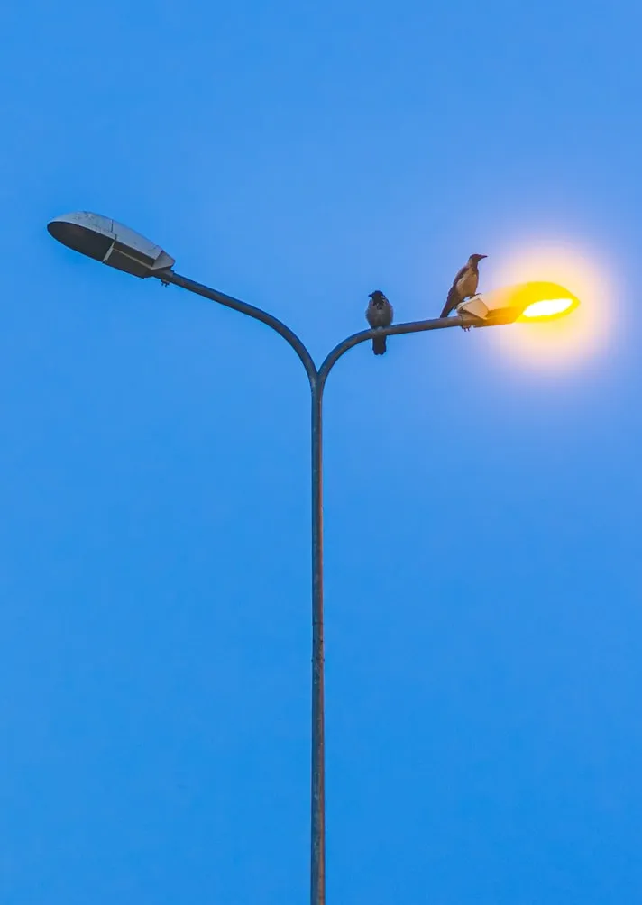 Kreit from Unsplash