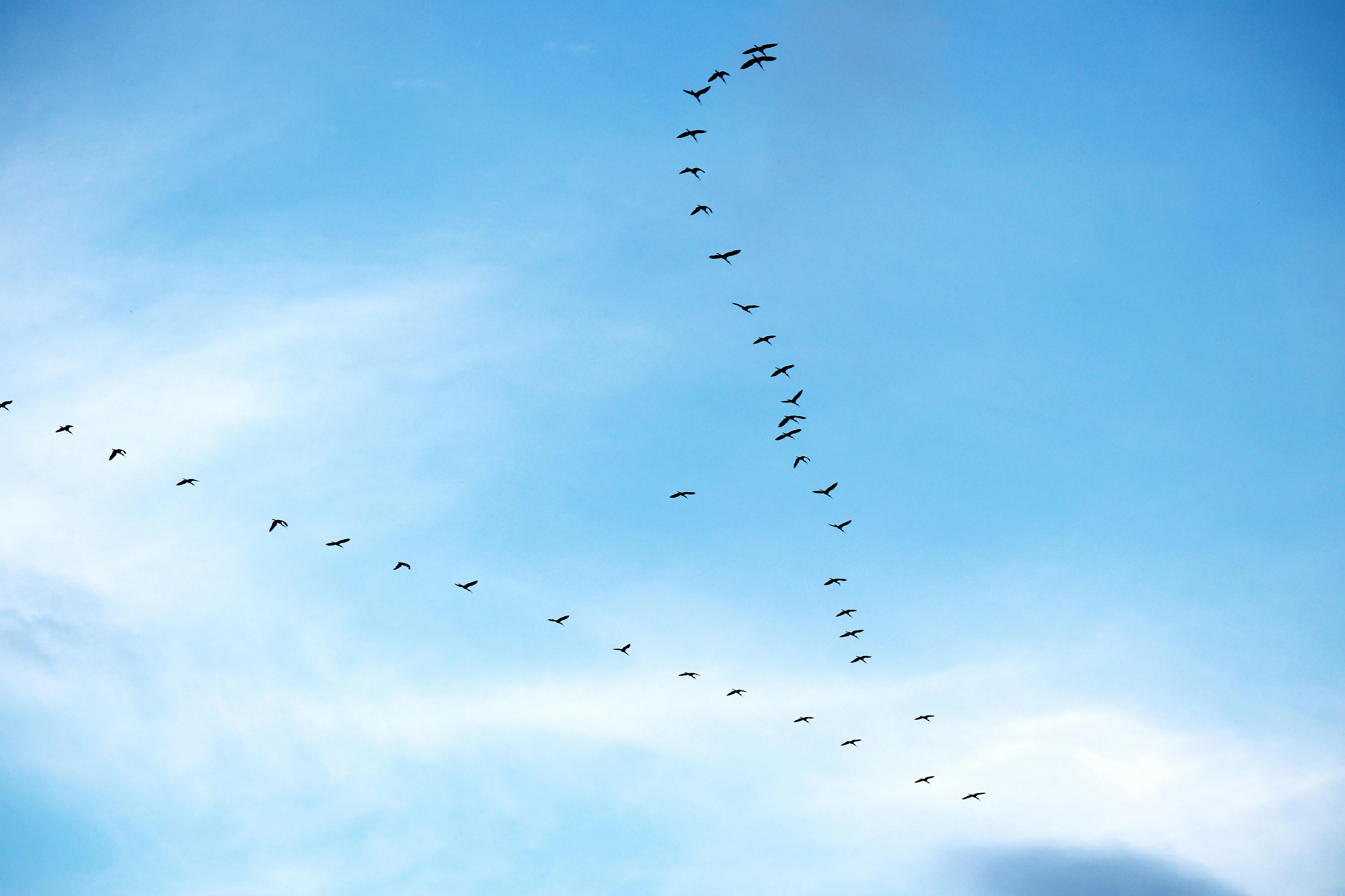 Sharath G. on Pexels
