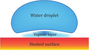 Image from ResearchGate