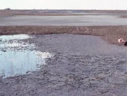 Image from Geological Digressions