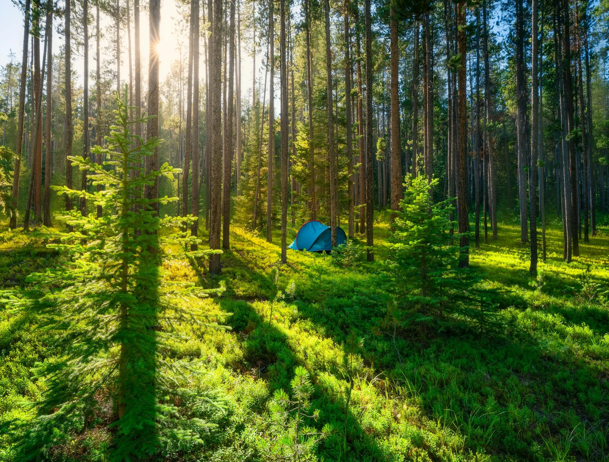 6 Best Campsites in Montana for Your Next Outdoor Adventure