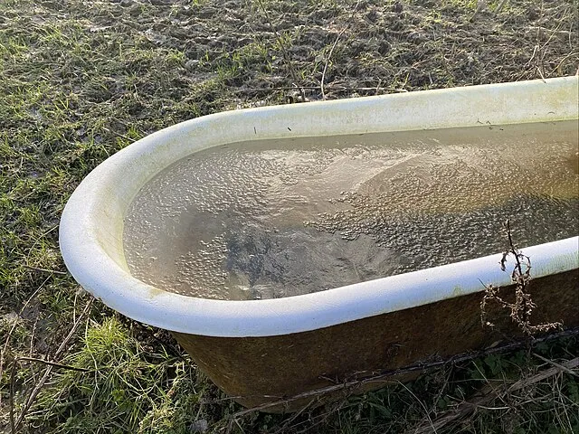 Alan Hughes on Wikimedia Commons