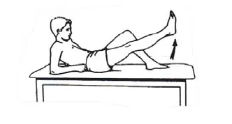 PThelp on Wikimedia Commons 