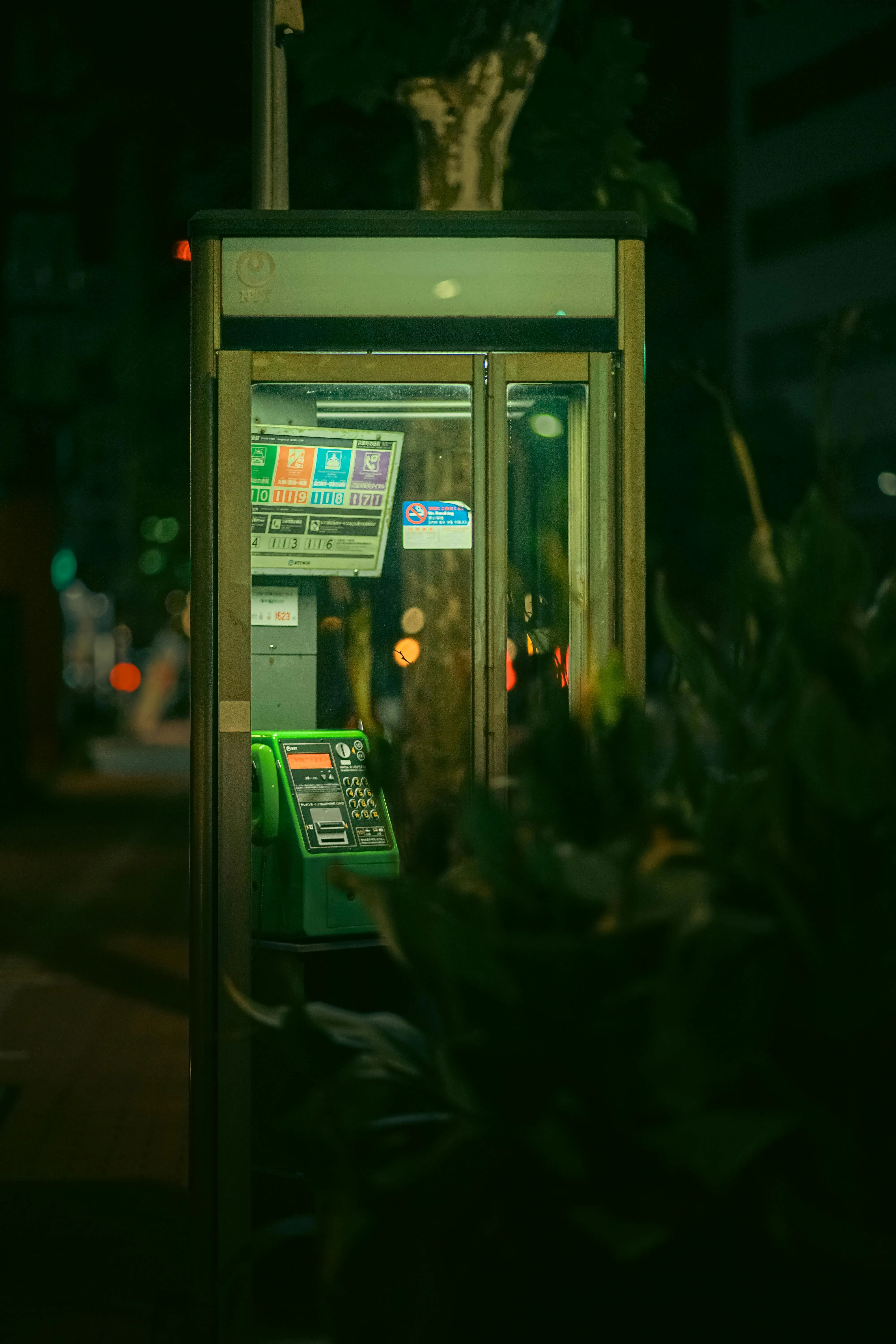 Tama Utama on Pexels