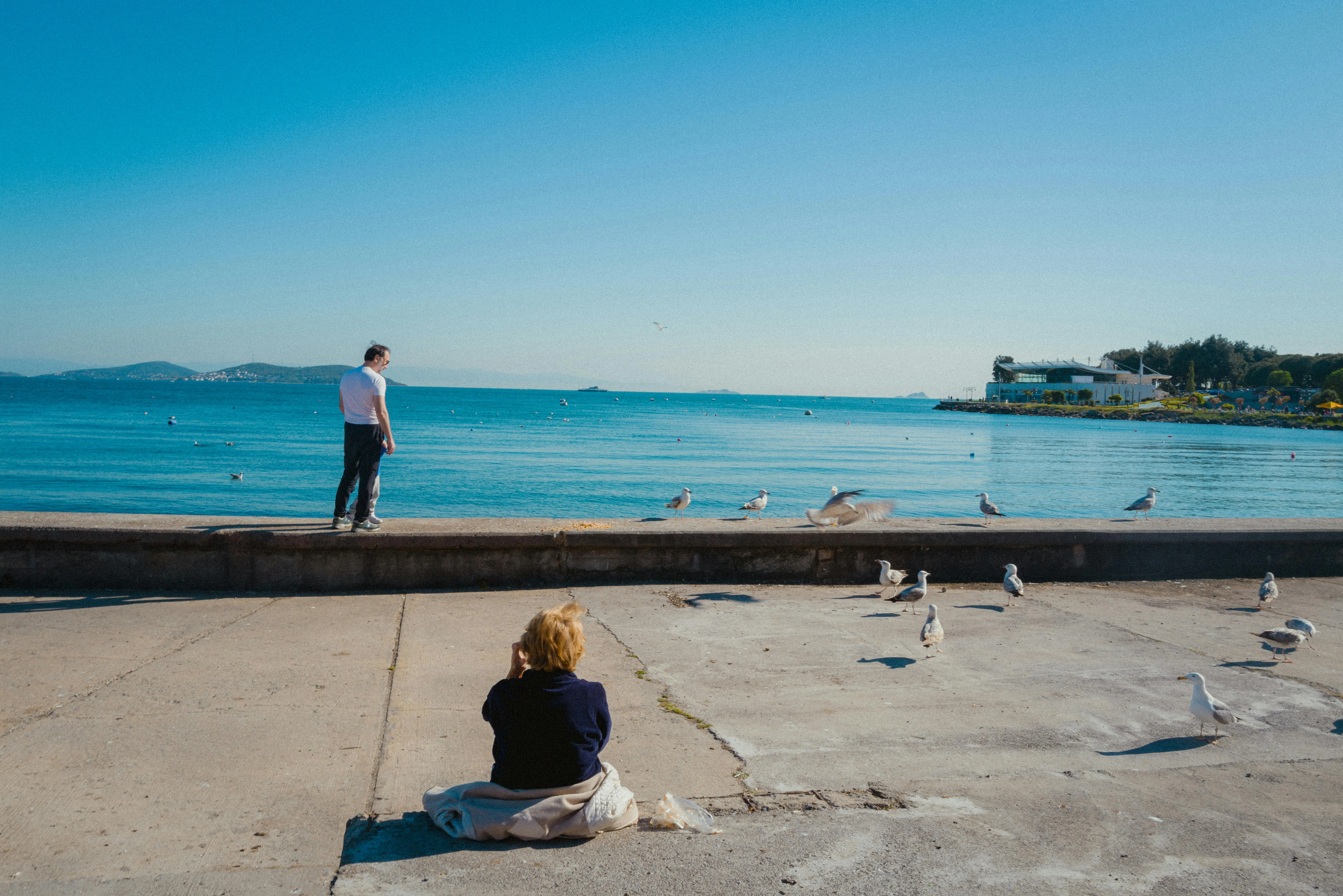 baran kilic on pexels