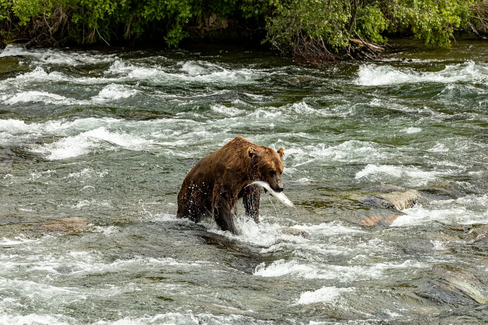 Lori Stevens on Unsplash
