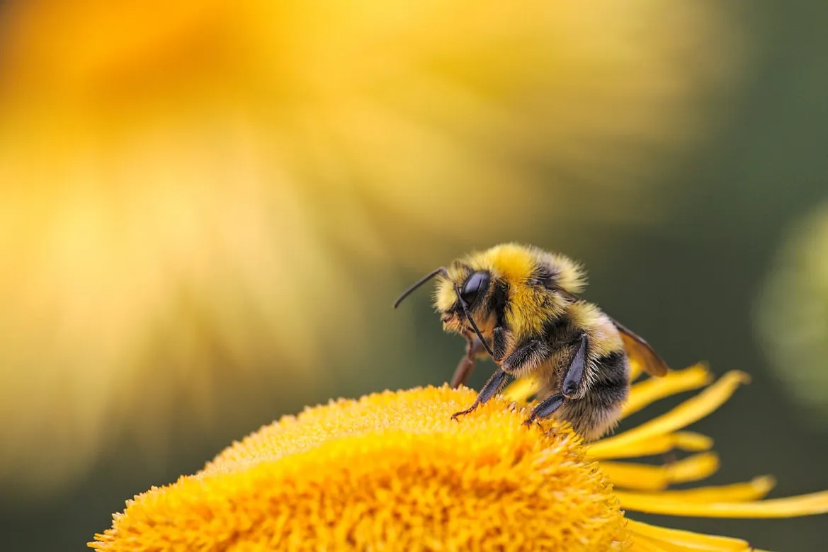 Dmitry Grigoriev from Unsplash