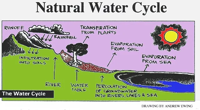 18 Natural Cycles That Guided Agricultural Life
