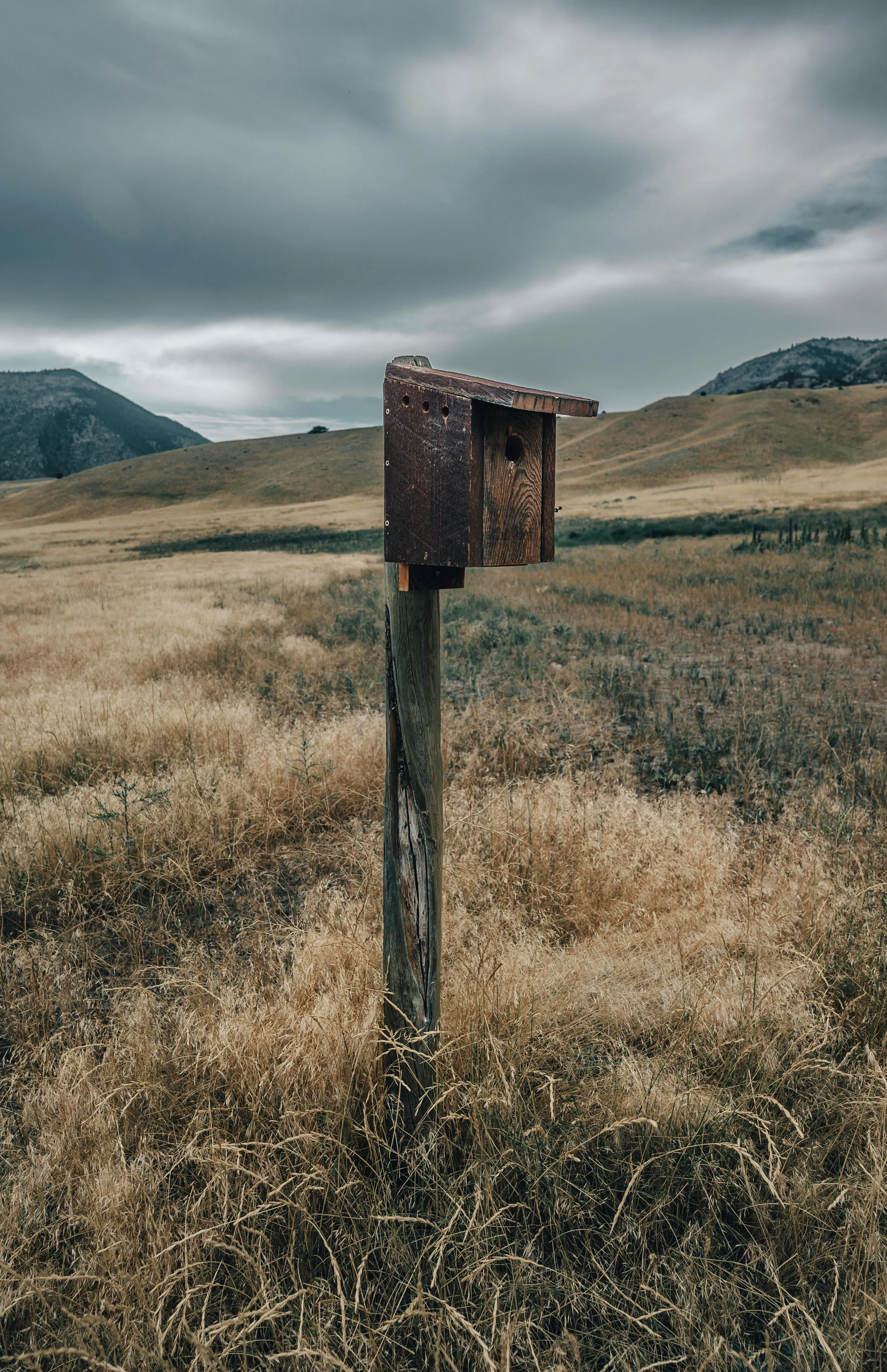 Alfo Medeiros on Pexels