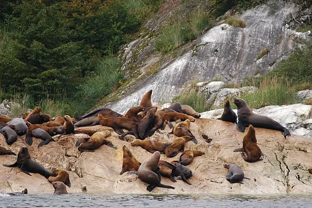 NPS on wikimedia
