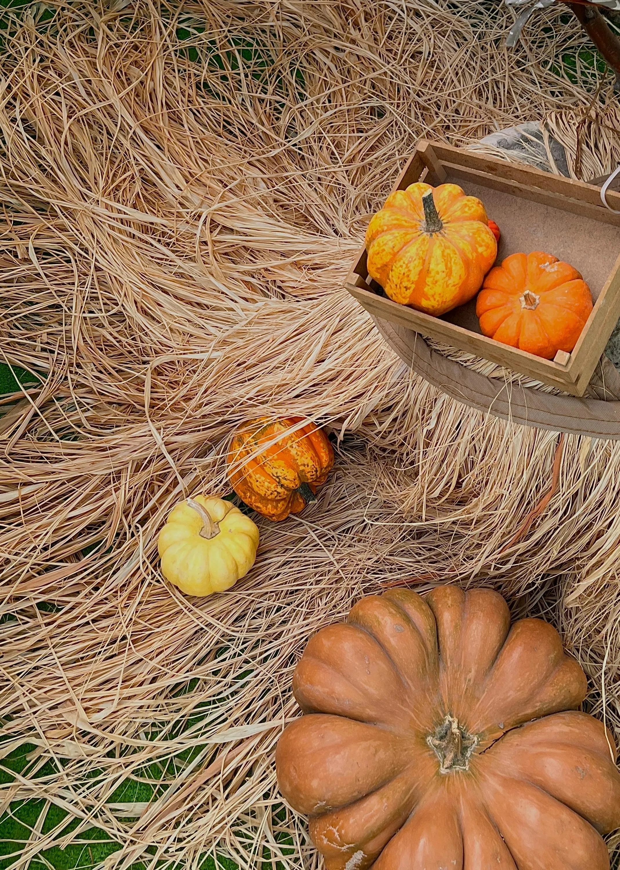 Hilal Demirbaş on Pexels