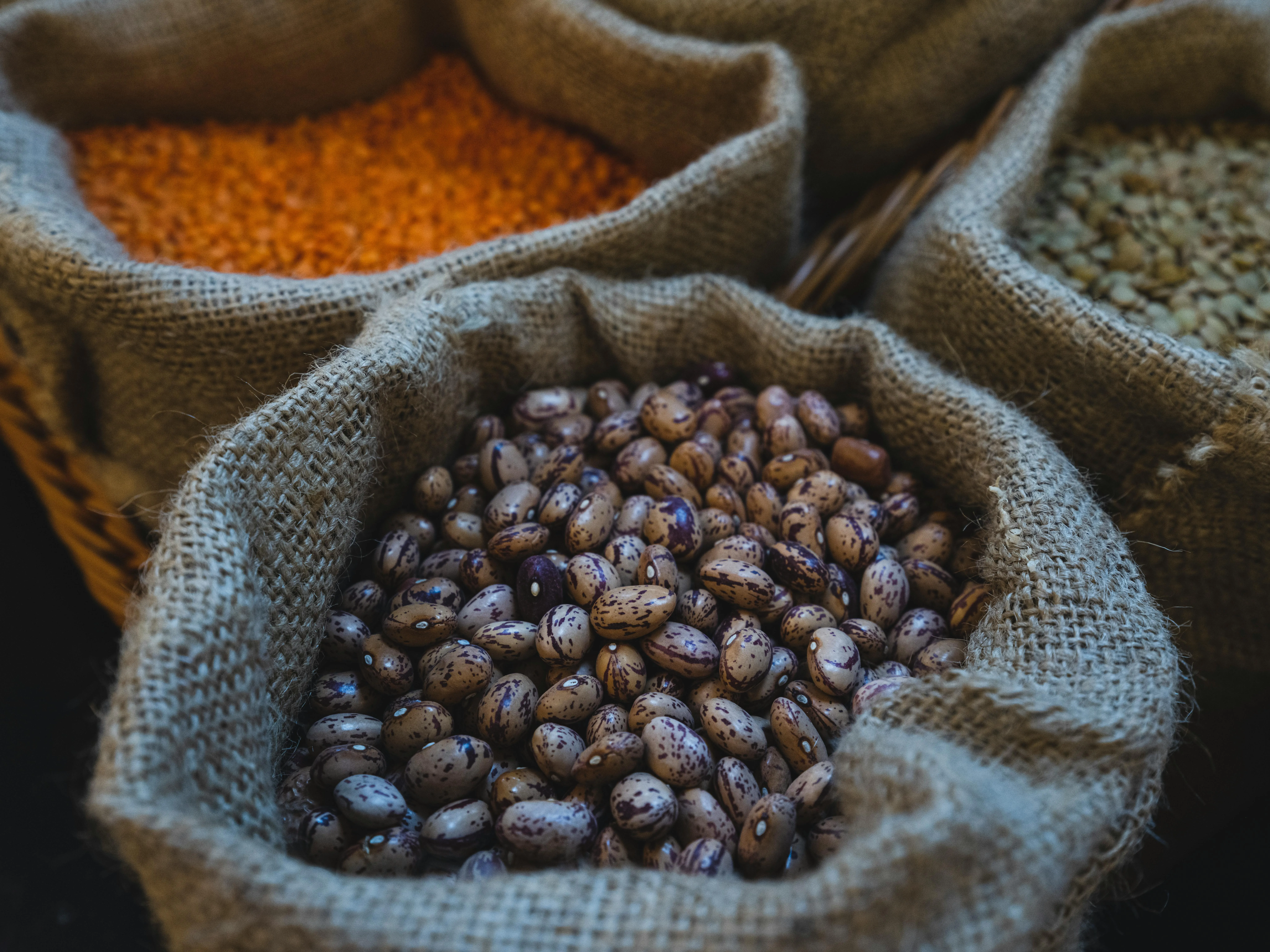 Engin Akyurt on Pexels