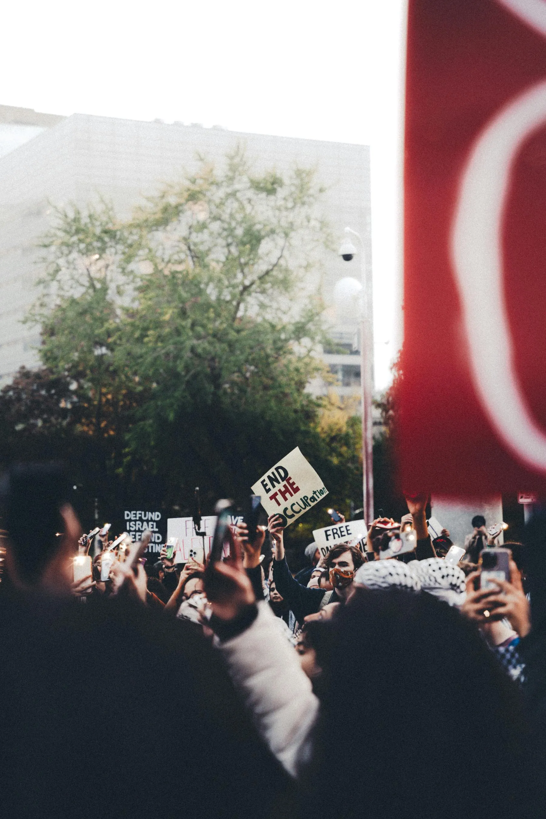 Mohammed Abubakr on Pexels 