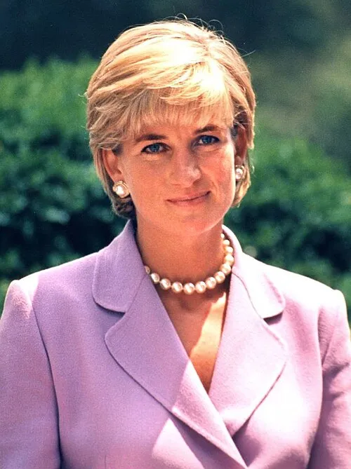 Image from Wikipedia
