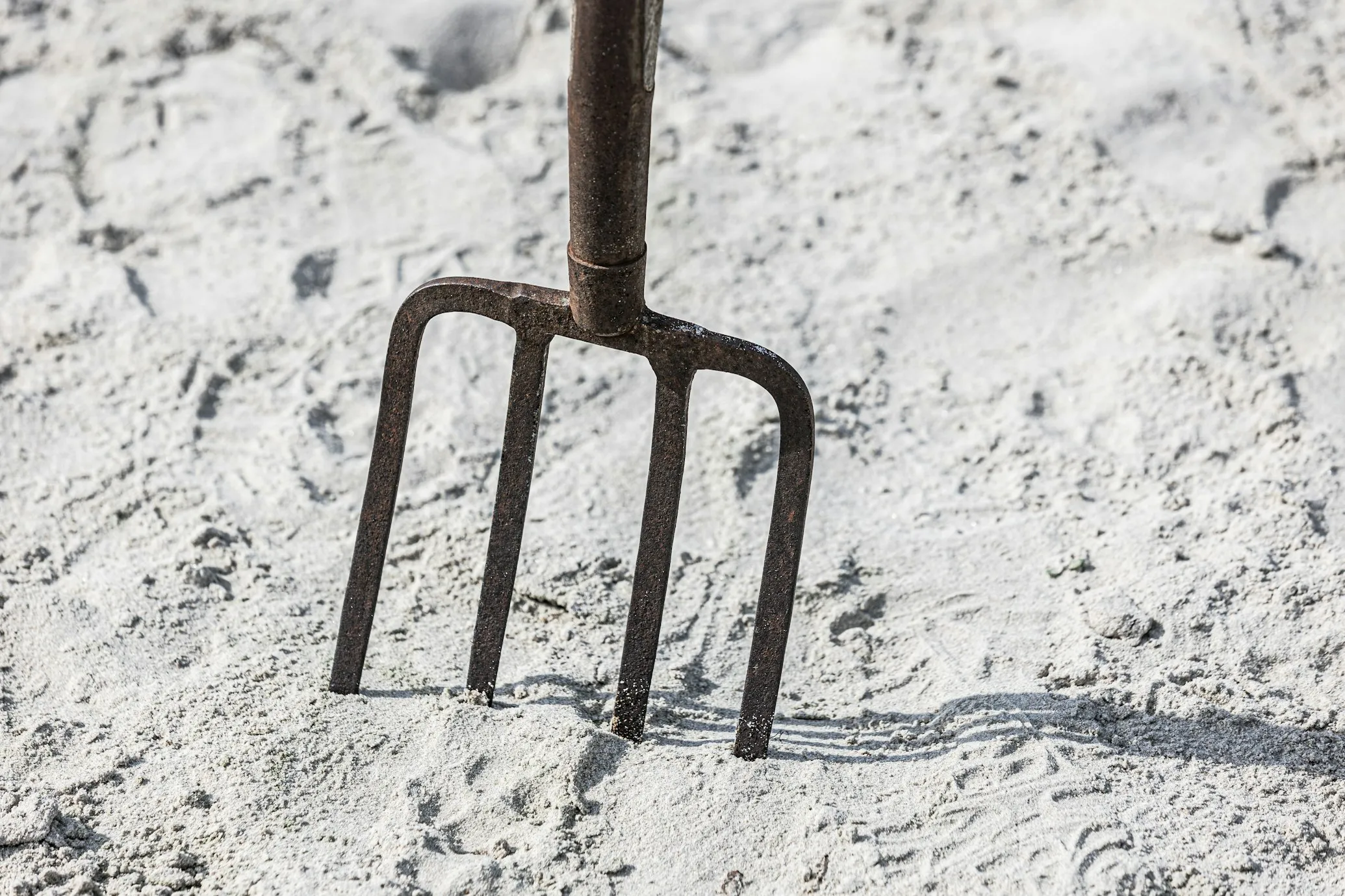  Carl Tronders from Unsplash