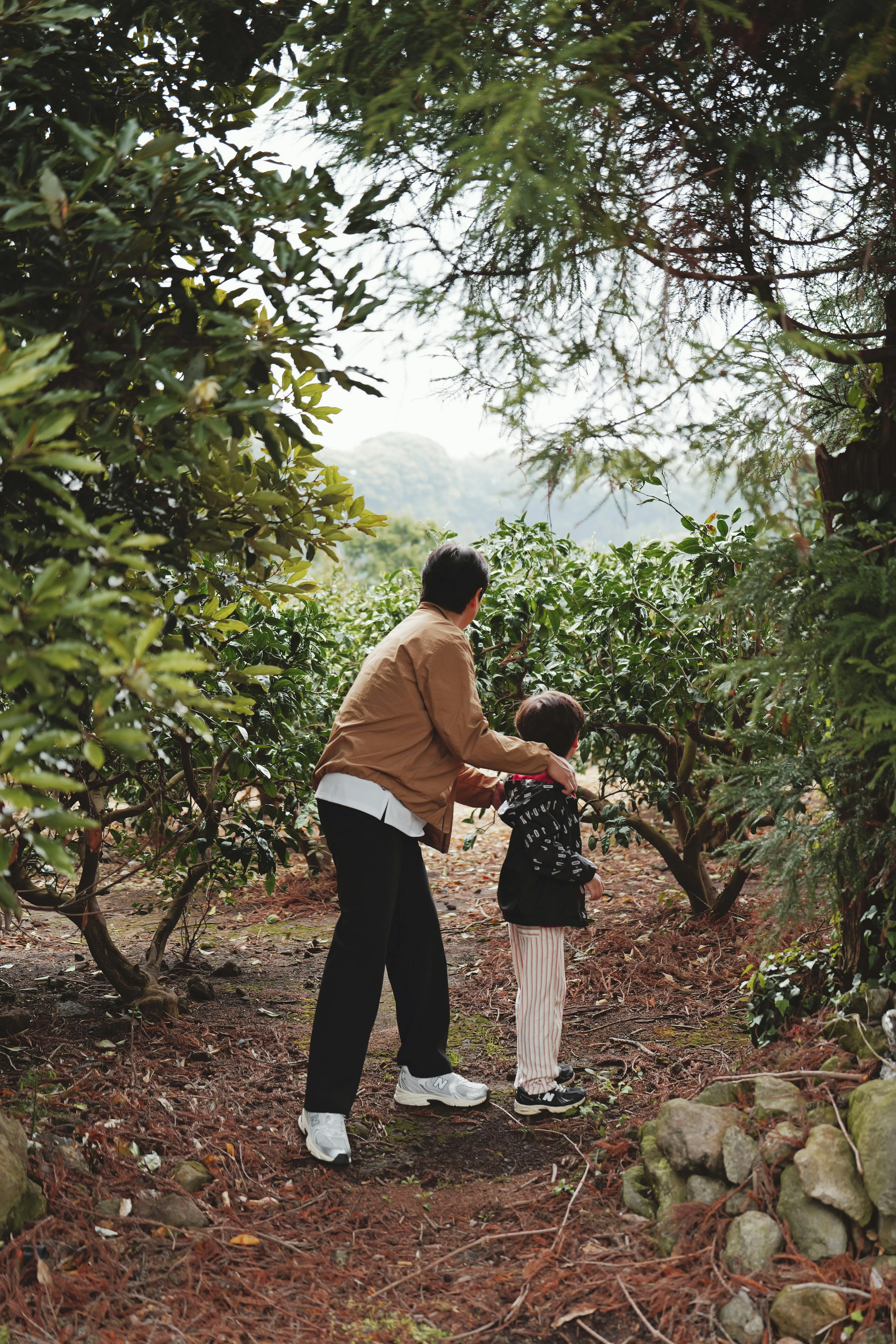 Little forest 작은 숲 on Pexels